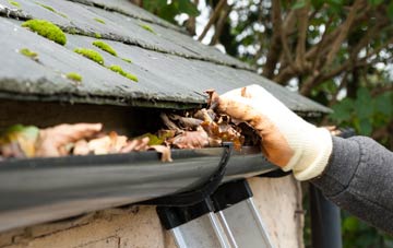 gutter cleaning Ruxton, Herefordshire