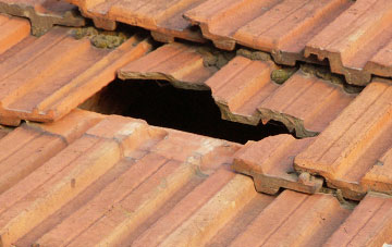 roof repair Ruxton, Herefordshire