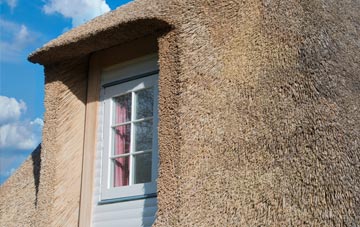 Ruxton thatch roof disadvantages